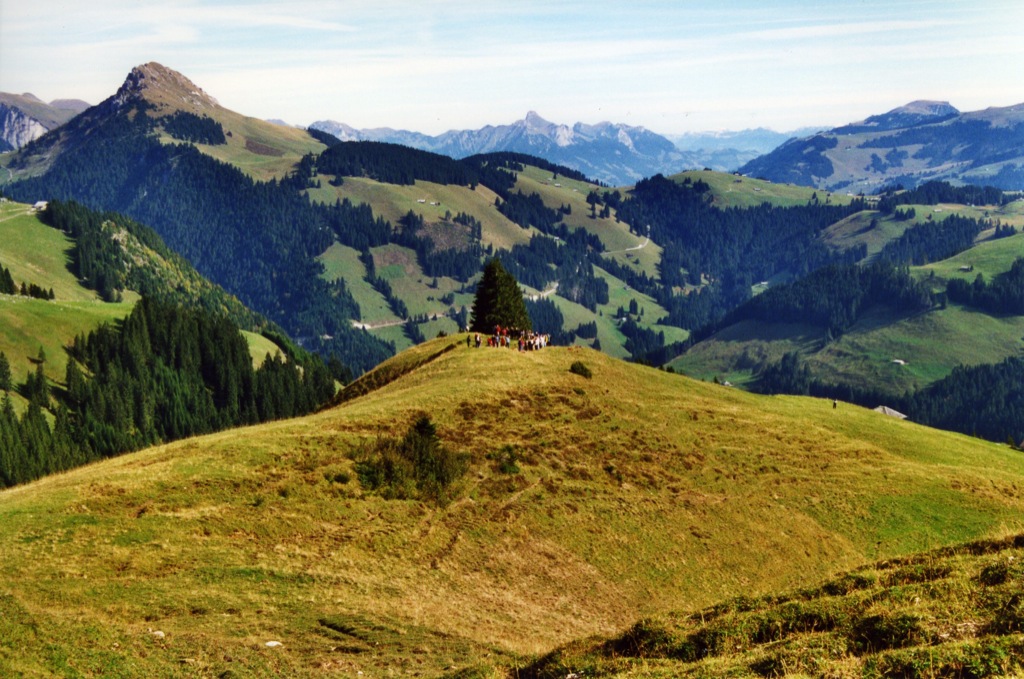 2000 10 10 nature