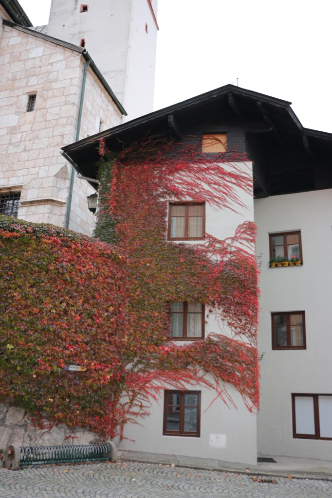 Aas 2015 kufstein 053